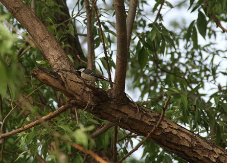 20190530/1c5341950a3fd57b7c83ae6749892151.png 1c5341950a3fd57b7c83ae6749892151.png