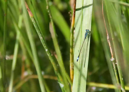 20190530/3e2e6a14e3b6314fa2a0d3ff92e34a22.png 3e2e6a14e3b6314fa2a0d3ff92e34a22.png