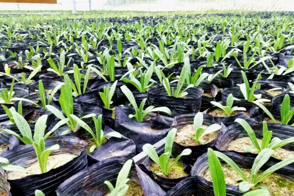 20190530/d9e5d301dc3305fdf69d31a58f5d866b.jpg d9e5d301dc3305fdf69d31a58f5d866b.jpg