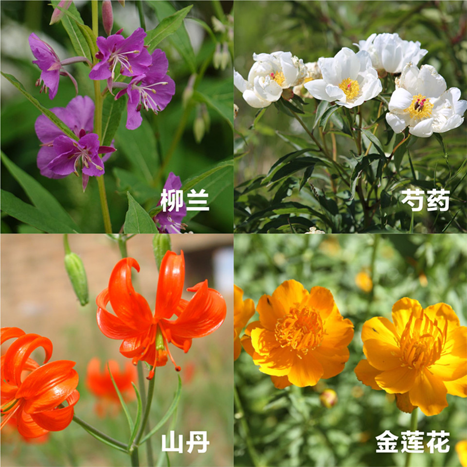 20190613/13ae175f70660ab020a075a6273097f2.jpg 13ae175f70660ab020a075a6273097f2.jpg