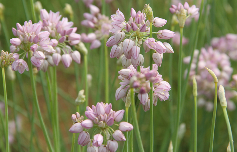 20190613/4d38c530ab7ca751cb77d15f82f0896f.jpg 4d38c530ab7ca751cb77d15f82f0896f.jpg