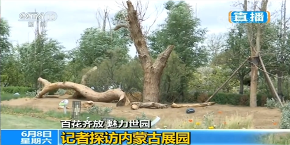 20190613/5230bdbde62e2f02a8de9f9d39041bc7.png 5230bdbde62e2f02a8de9f9d39041bc7.png