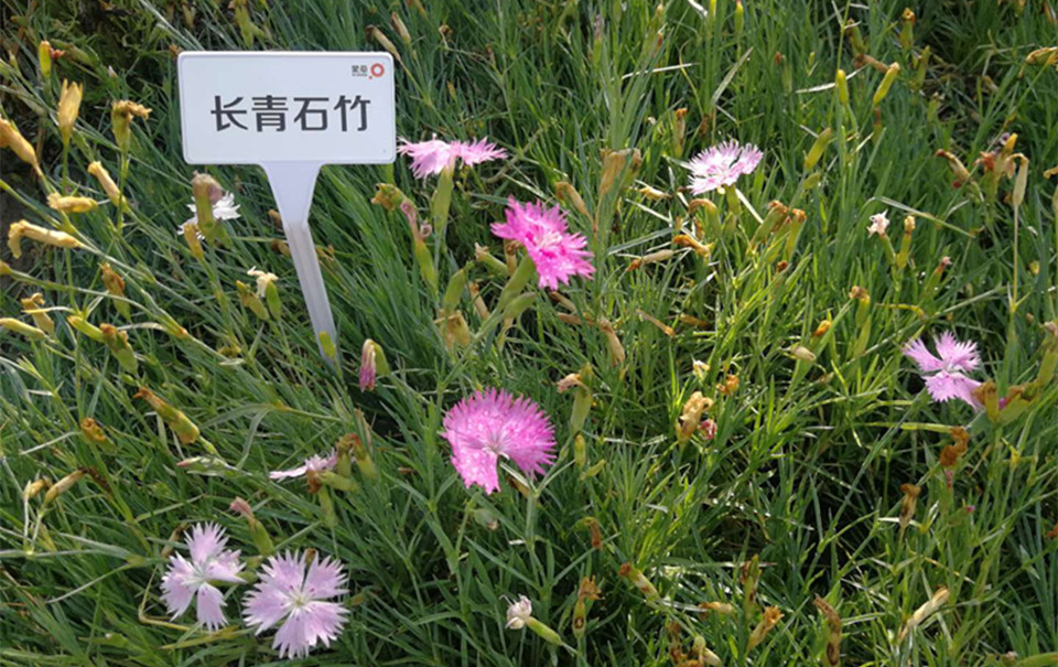 20190613/9dc90318b4d2ce47c01754628e422a83.jpg 9dc90318b4d2ce47c01754628e422a83.jpg