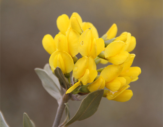 20190613/c5ea9e2e89455bf306f2bc7ffe85cc02.jpg c5ea9e2e89455bf306f2bc7ffe85cc02.jpg