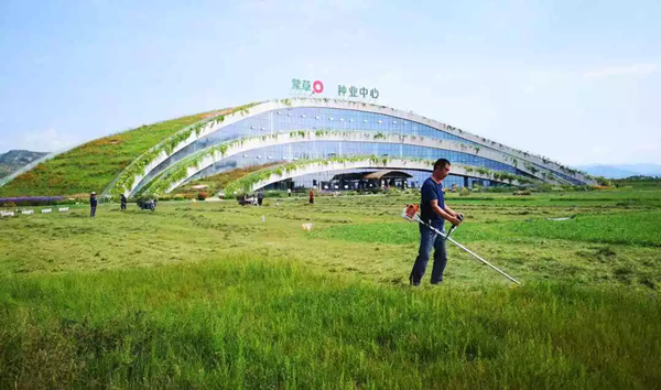 20191108/de765981caa3f24b87d149e9bb44ef33.png de765981caa3f24b87d149e9bb44ef33.png