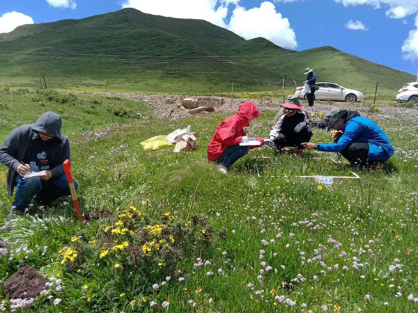 20200120/039a6b567c6d886add3f24f09245822b.png 039a6b567c6d886add3f24f09245822b.png