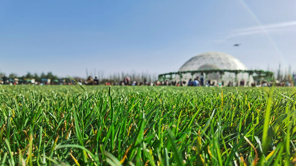 20200323/f51a46221622cdaa99532bea07ca8ef5.png f51a46221622cdaa99532bea07ca8ef5.png