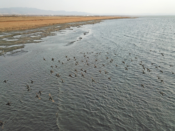 20200416/519da5b207a02c3b582df182225c5dad.jpg 519da5b207a02c3b582df182225c5dad.jpg