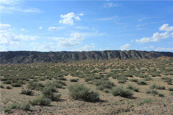 20200721/fbe7e9def9325589956d73e48a9be04a.png fbe7e9def9325589956d73e48a9be04a.png