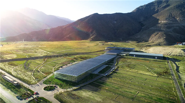 20200813/cfcef7c9260bc5426a39271219d03b2f.png cfcef7c9260bc5426a39271219d03b2f.png