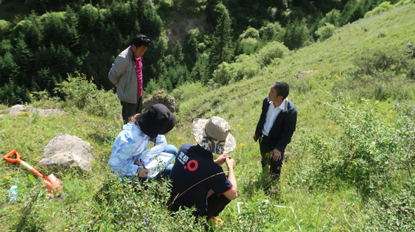 20200915/e399804d923bd262ff34f65b92370c7d.png e399804d923bd262ff34f65b92370c7d.png