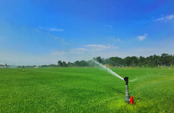 20200928/9b6a10e45b818260899fa2be845d1ea8.jpg 9b6a10e45b818260899fa2be845d1ea8.jpg