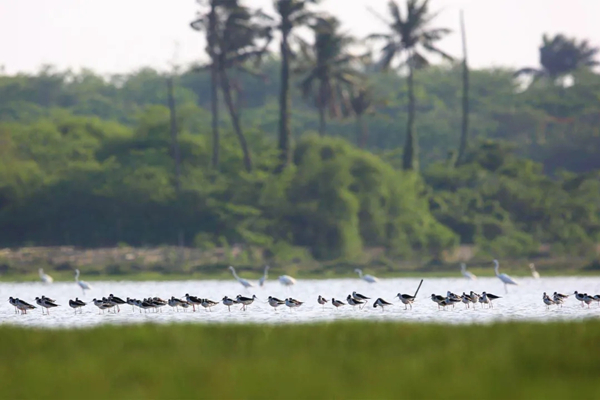 20211014/5fba40903acd4a061d436ce805d8fff3.jpg 5fba40903acd4a061d436ce805d8fff3.jpg