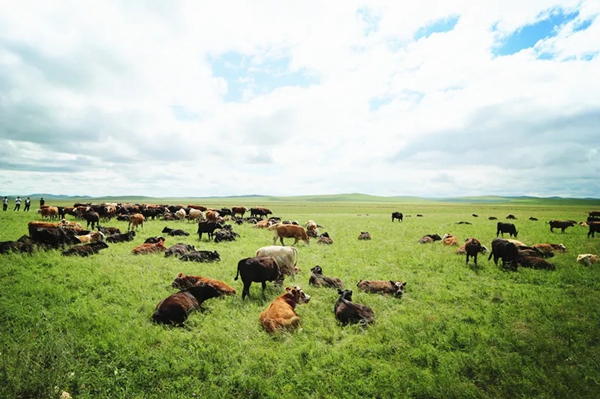 20211015/9f6b4aeb647af996f92d3bb16d8412d5.jpg 9f6b4aeb647af996f92d3bb16d8412d5.jpg