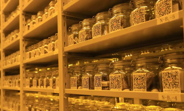 20220518/d41dc2e8af67bd8d358f9bb3be03e4c8.jpg d41dc2e8af67bd8d358f9bb3be03e4c8.jpg