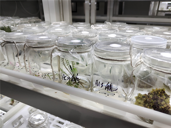 20220520/bf5da73b4c9c85026e4a4994e2ae45e9.jpg bf5da73b4c9c85026e4a4994e2ae45e9.jpg