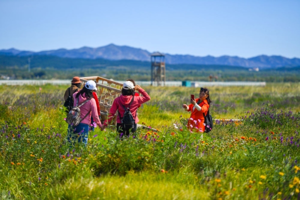 20220929/0050f529f1e3ac3390b39edf6330505c.jpg 0050f529f1e3ac3390b39edf6330505c.jpg