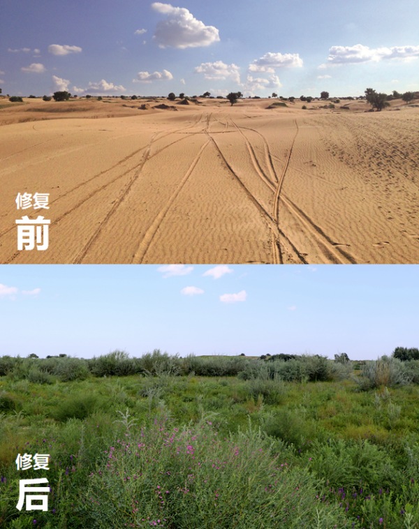 20230329/12f4ad3bb3cbe71ea55e0419ce3d1da1.jpg 12f4ad3bb3cbe71ea55e0419ce3d1da1.jpg