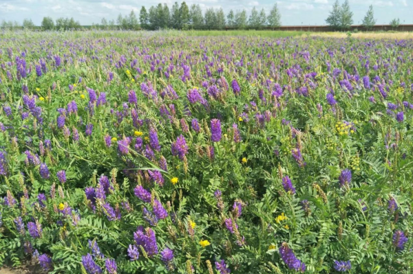 20230515/0be40cfad10edd625da68c9b93d49411.png 0be40cfad10edd625da68c9b93d49411.png