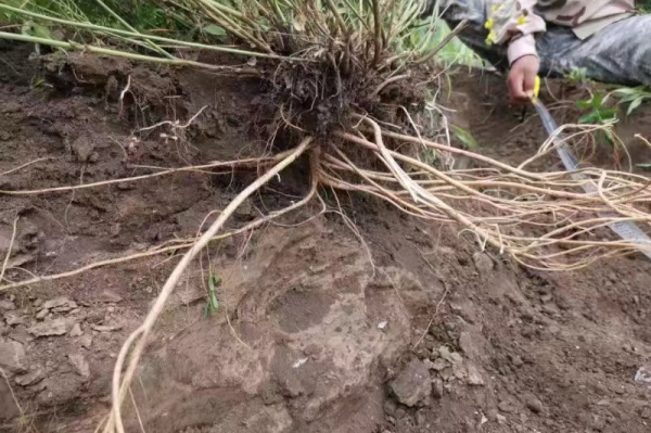 20230515/9cba2c75dbbfef12ada75a2528c3ec35.png 9cba2c75dbbfef12ada75a2528c3ec35.png