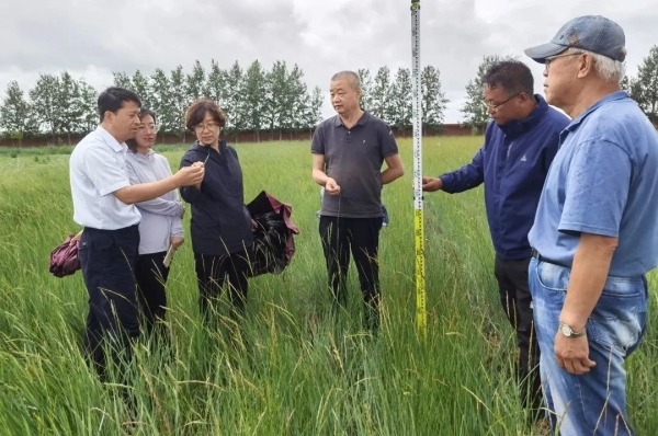 20230515/c390b18b934895e43843cdebc064bef4.jpg c390b18b934895e43843cdebc064bef4.jpg