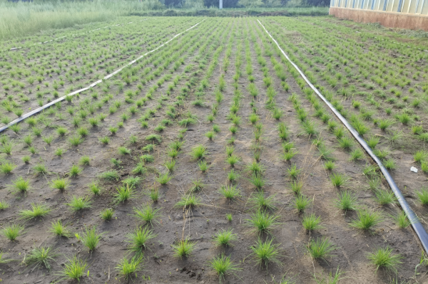 20230515/f227d9eb82108c6c1b2b1a83b25c0655.png f227d9eb82108c6c1b2b1a83b25c0655.png