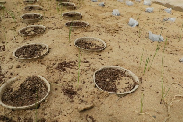 20240417/64c2fa6c008e9bac26e8e555851f8cbb.jpg 64c2fa6c008e9bac26e8e555851f8cbb.jpg