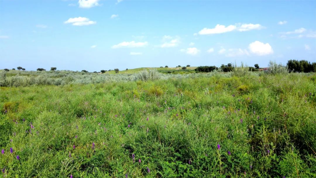 20240430/7bb6656cff33e356e8420536a83c4c41.jpg 20240430/7bb6656cff33e356e8420536a83c4c41.jpg