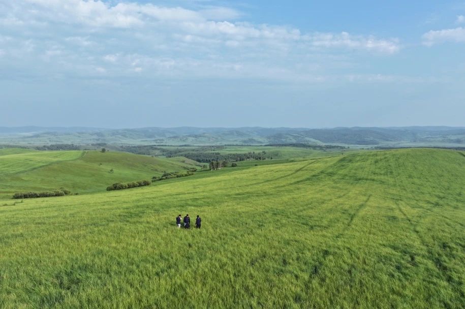 20250109/cc532d116290a5f219814273050879c3.jpg 20250109/cc532d116290a5f219814273050879c3.jpg