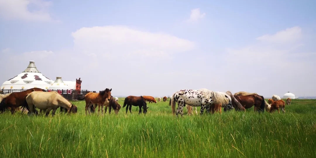 20250908/4705324f343af663480a798e54000a1a.jpg 20250908/4705324f343af663480a798e54000a1a.jpg