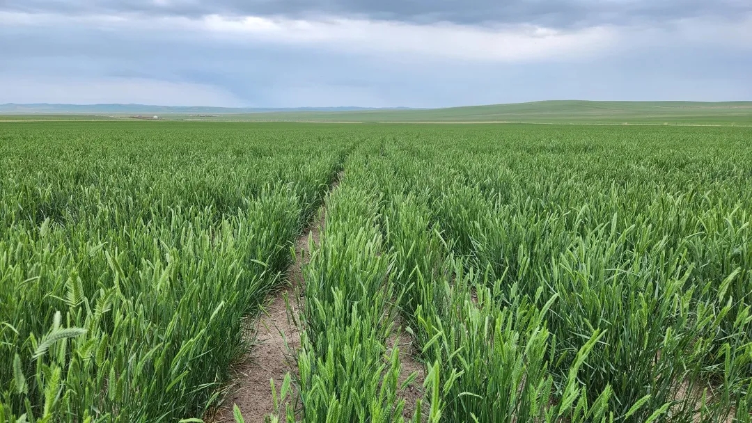 20250908/575ab3b7b2a1e16c846b412cb246df97.jpg 20250908/575ab3b7b2a1e16c846b412cb246df97.jpg