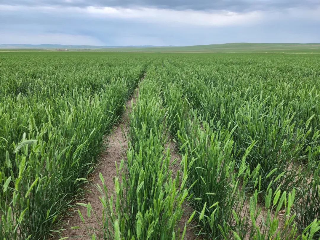 20250908/681eb17ed28091de01c355c4c78a807c.jpg 20250908/681eb17ed28091de01c355c4c78a807c.jpg