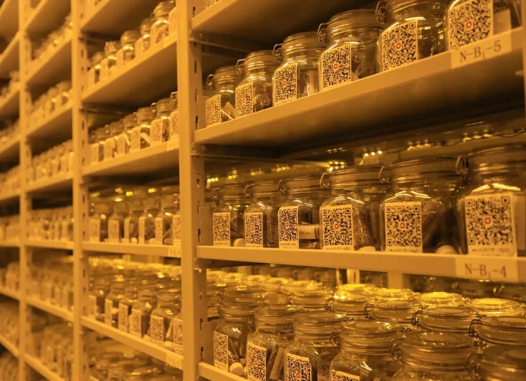 20250908/f32d318b5eb3c719173c3428117b7ec8.jpg 20250908/f32d318b5eb3c719173c3428117b7ec8.jpg